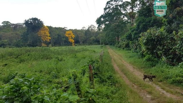 Barro Preto-BA. Fazenda de 167 Hectares. produção de cacau - Foto 12