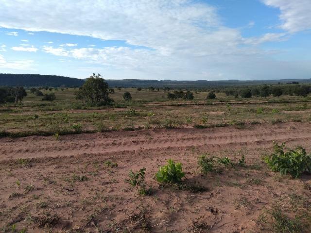 2.253 Há. Alto Garças-MT (Plana ao Lado Lavoura) - Foto 2