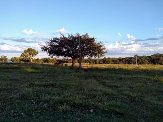 2.253 Há. Alto Garças-MT (Plana ao Lado Lavoura) - Foto 4