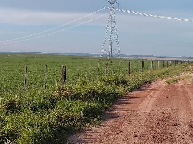 2.253 Há. Alto Garças-MT (Plana ao Lado Lavoura)