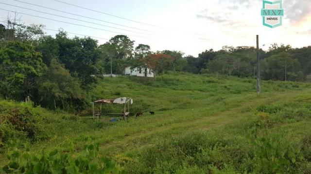 Barro Preto-BA. Fazenda de 167 Hectares. produção de cacau - Foto 10