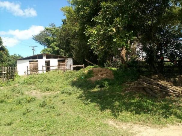 Fazenda para venda em paudalho, guadalajara - Foto 19