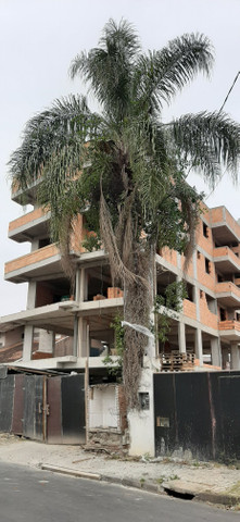 Apartamentos para venda, Saguaçu, com suíte e elevador - Foto 7