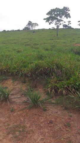 Fazenda - Foto 11