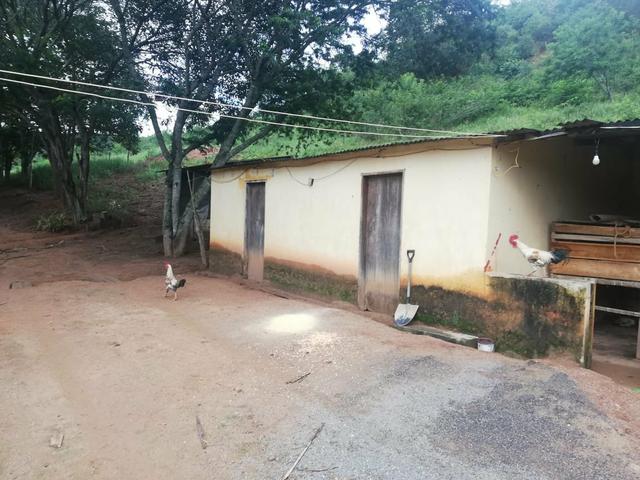 Oportunidade Fazenda de 175 hec por 430 mil - Foto 6