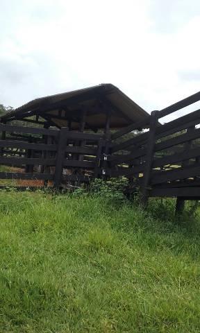 Fazenda - Foto 15