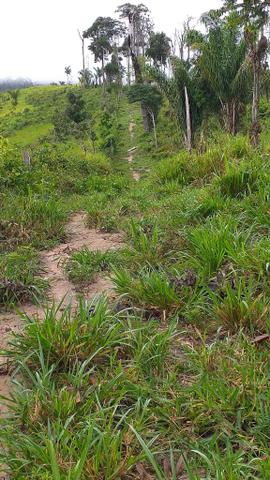 Fazenda - Foto 3