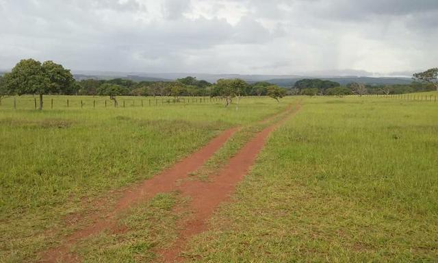 Fazenda - Foto 16