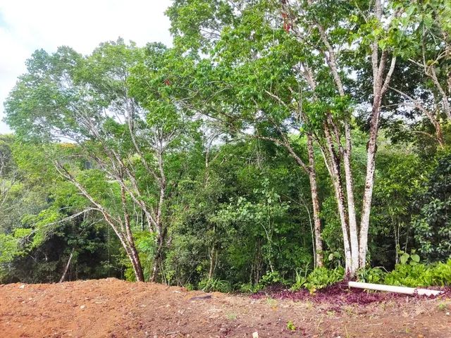 Lote/Terreno para venda tem 3.800 metros quadrados. - Foto 3
