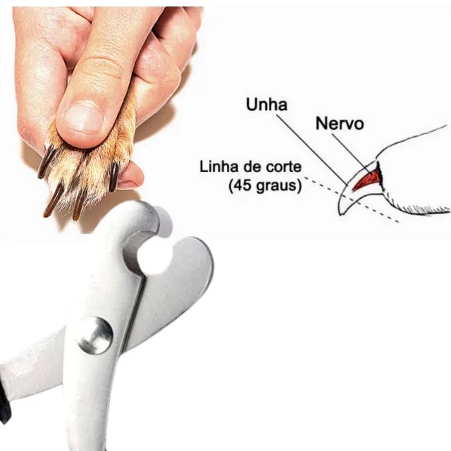 Tesoura Corta Unha de Filhotes para Cachorros, Gatos e Pássaros _ PET06 - Foto 3