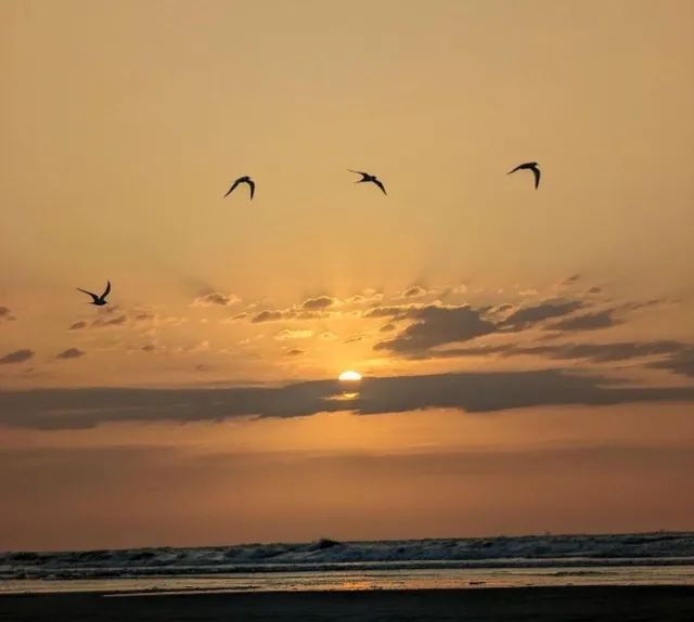 praia Mangue Seco - Foto 8