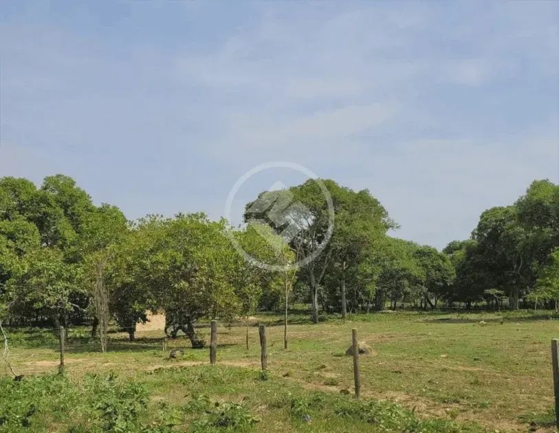 Chácara de Lazer em Britânia-Go. codigo: 18830 - Foto 3