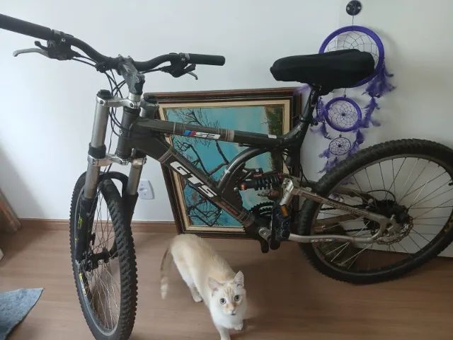 Bike 16 downhill 