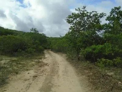 Terreno Rural 60,7798ha em Cristália/MG - Desocupado - Foto 2