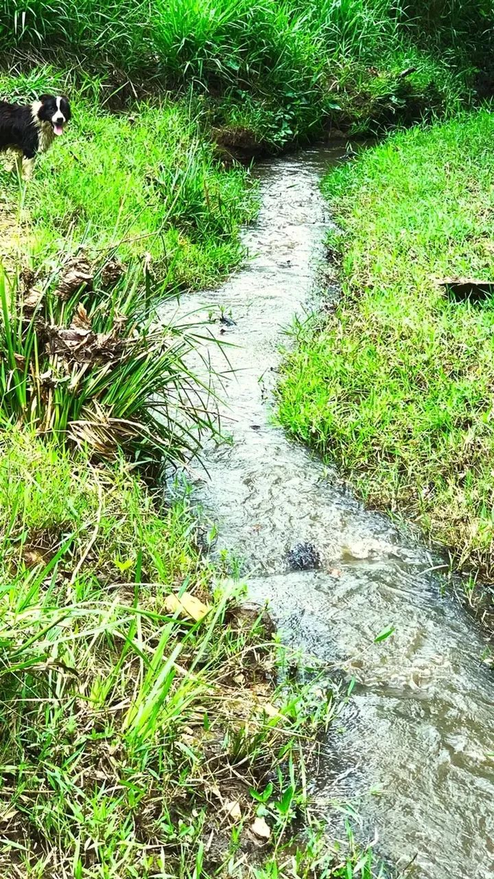 Fazenda de 194 tarefas