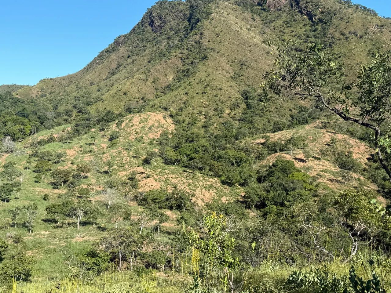 Vendo sítio de 24 alqueiros rico em água a apenas 18km da cidade de Minaçu Go - Foto 7