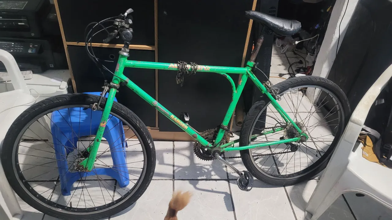 Bicicleta e bonecos e etc