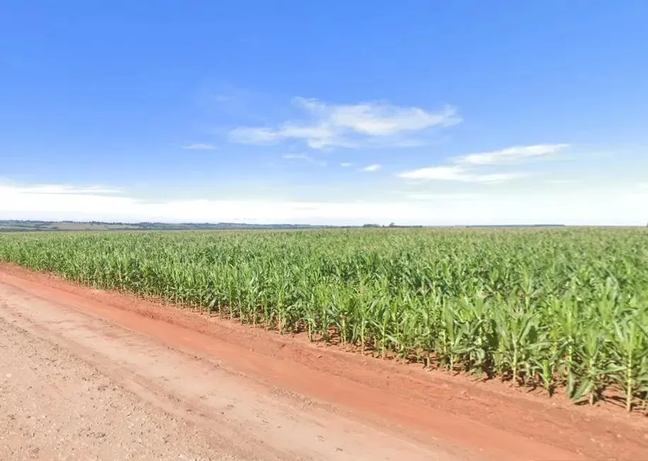FAZENDA DE LAVOURA COM 423 ALQUEIRES NA REGIÃO DE NOVO HORIZONTE DO SUL MS