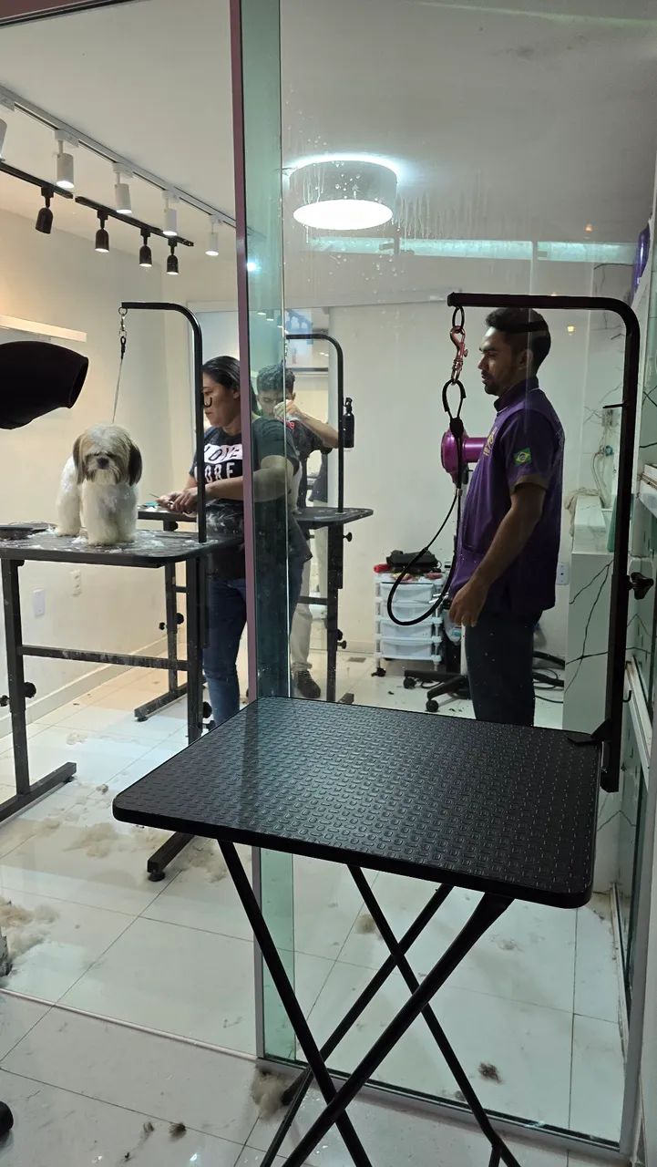 CURSO DE BANHO E TOSA PRESENCIAL VAGAS DISPONÍVEIS EM TERESINA PIAUÍ COM DIREITO A CERTIFI - Foto 6