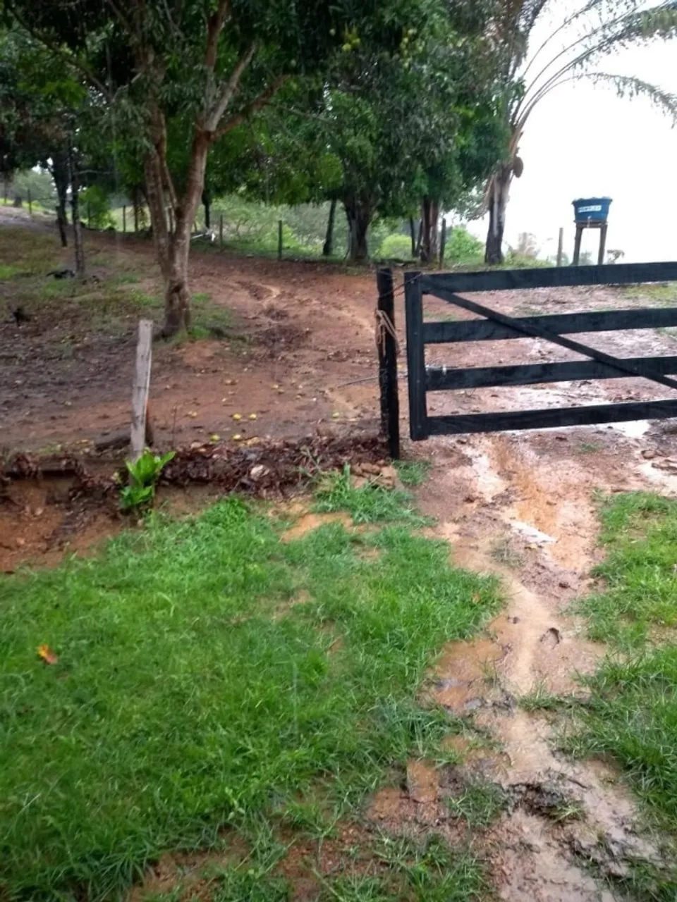 Chácara sentido Aparecida do Rio Negro 35km de Palmas