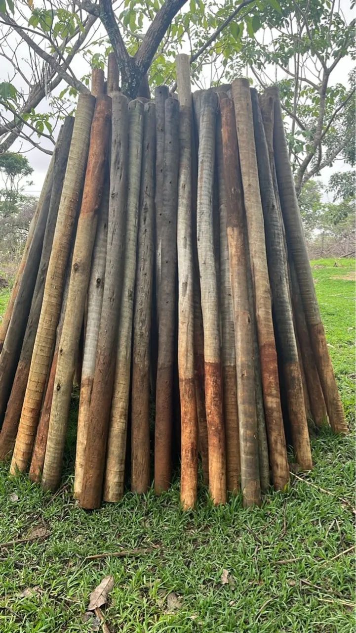 Postes eucalipto (8a10 bitola)