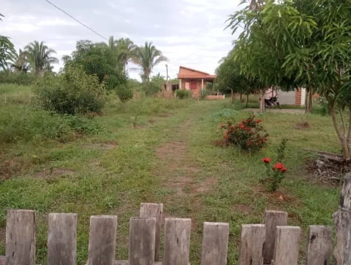 Sítio a venda próximo a cidade de Lagoa alegre- PI