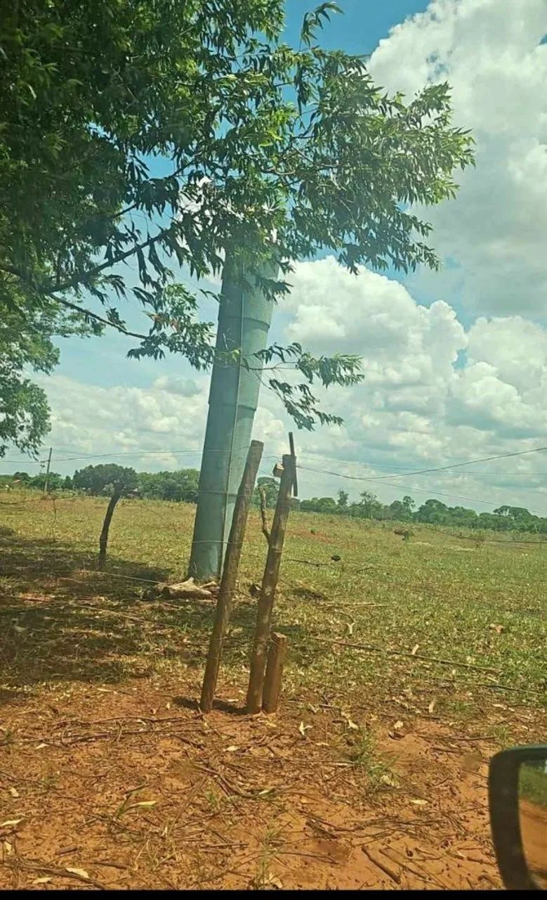 Vendo 3 hectares assentamento santa monica 