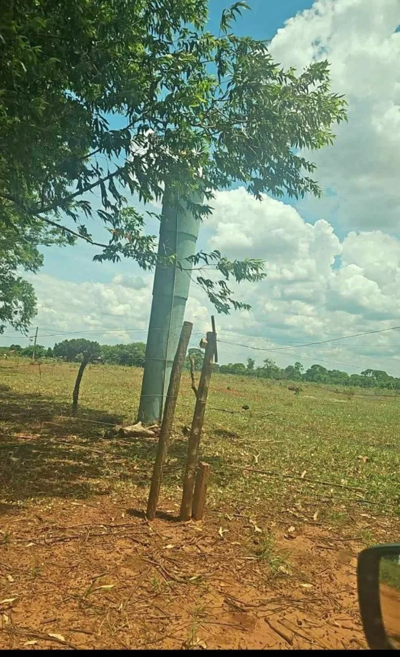 Vendo 3 hectares assentamento santa monica