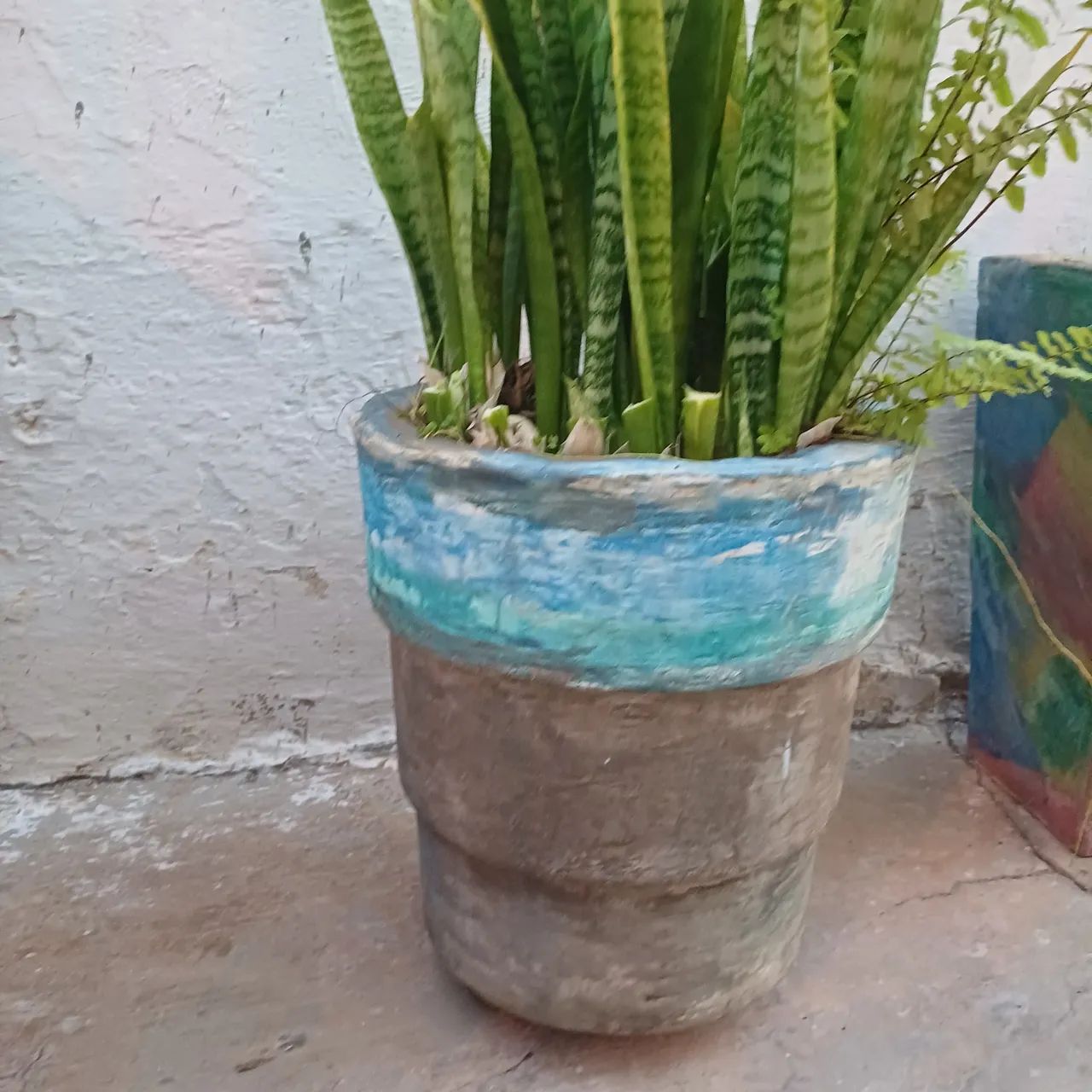 Vaso grande concreto com planta natural espadas retirar ribeirao preto sp não entrego*$50 - Foto 2