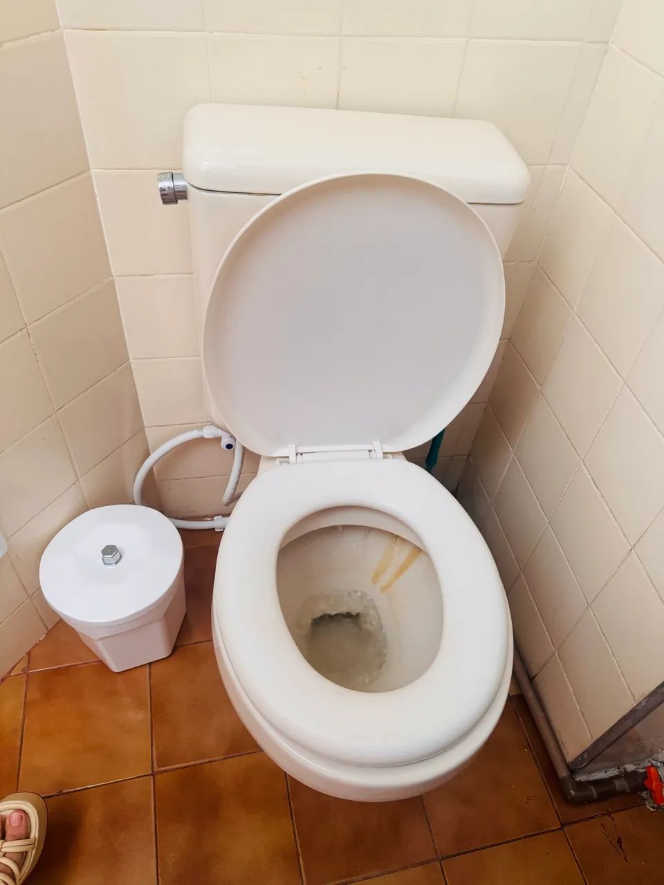 Vado sanitário completo 64640214874371120