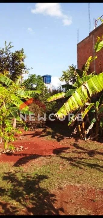 Chácara em Área Rural - Área Rural de Uberlândia - Uberlândia/MG - Foto 8