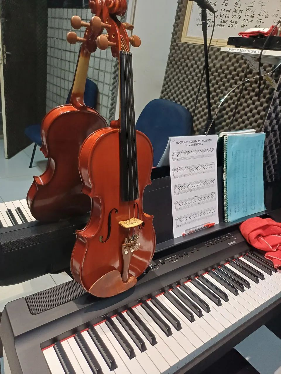 Violino Michael seminovo em perfeito estado. 