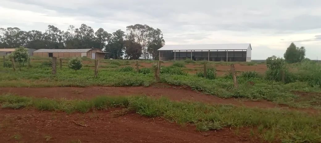 R$650 Milhões Fazenda de 20.600 hectares em Paranatinga-MT - Foto 7