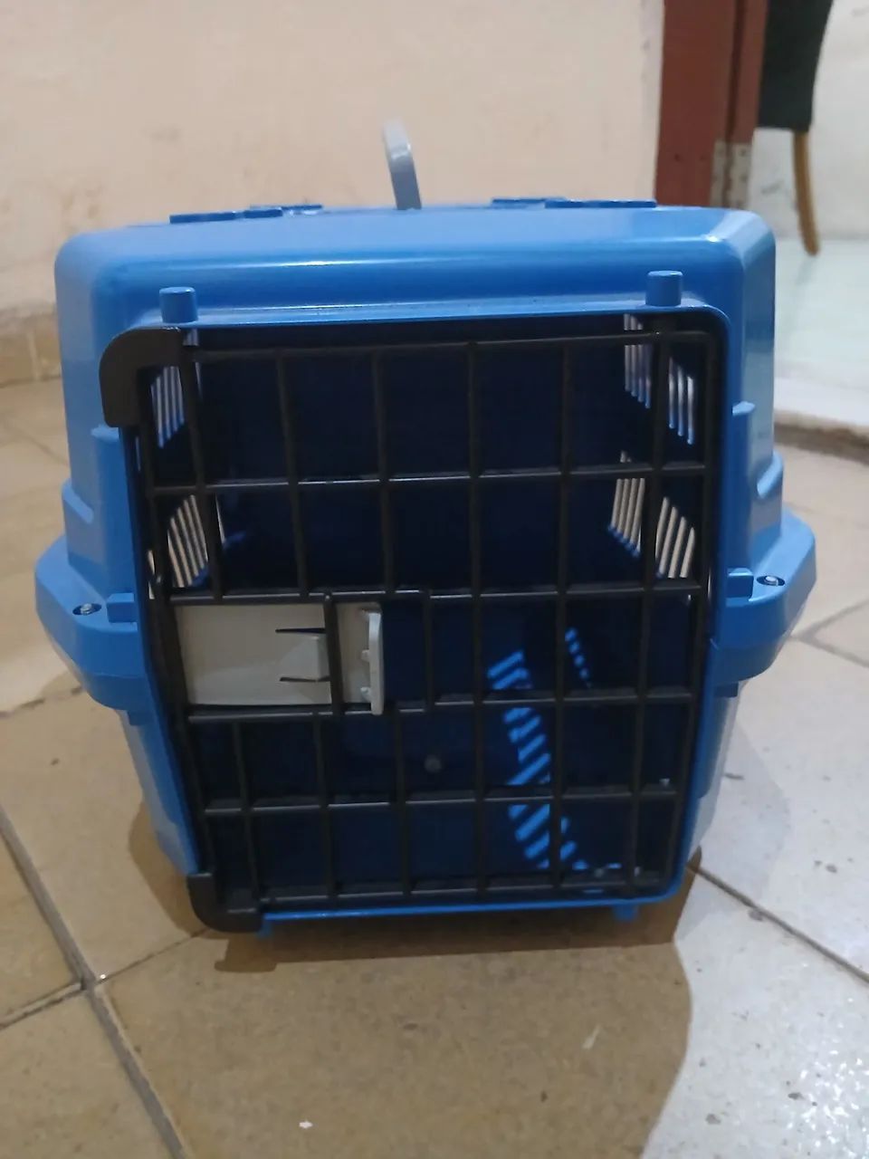 Caixa de Transporte para Pet e colar protetor 