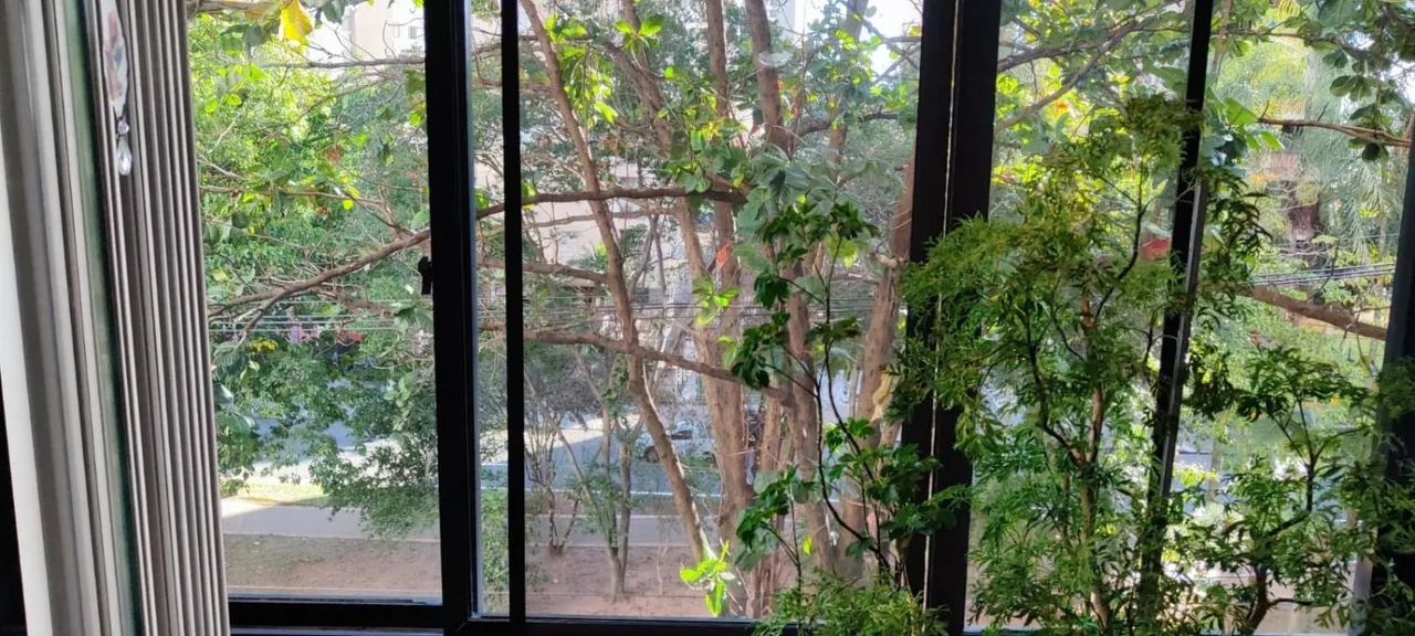 apartamento - Jardim Paraíso - Campinas - Foto 4