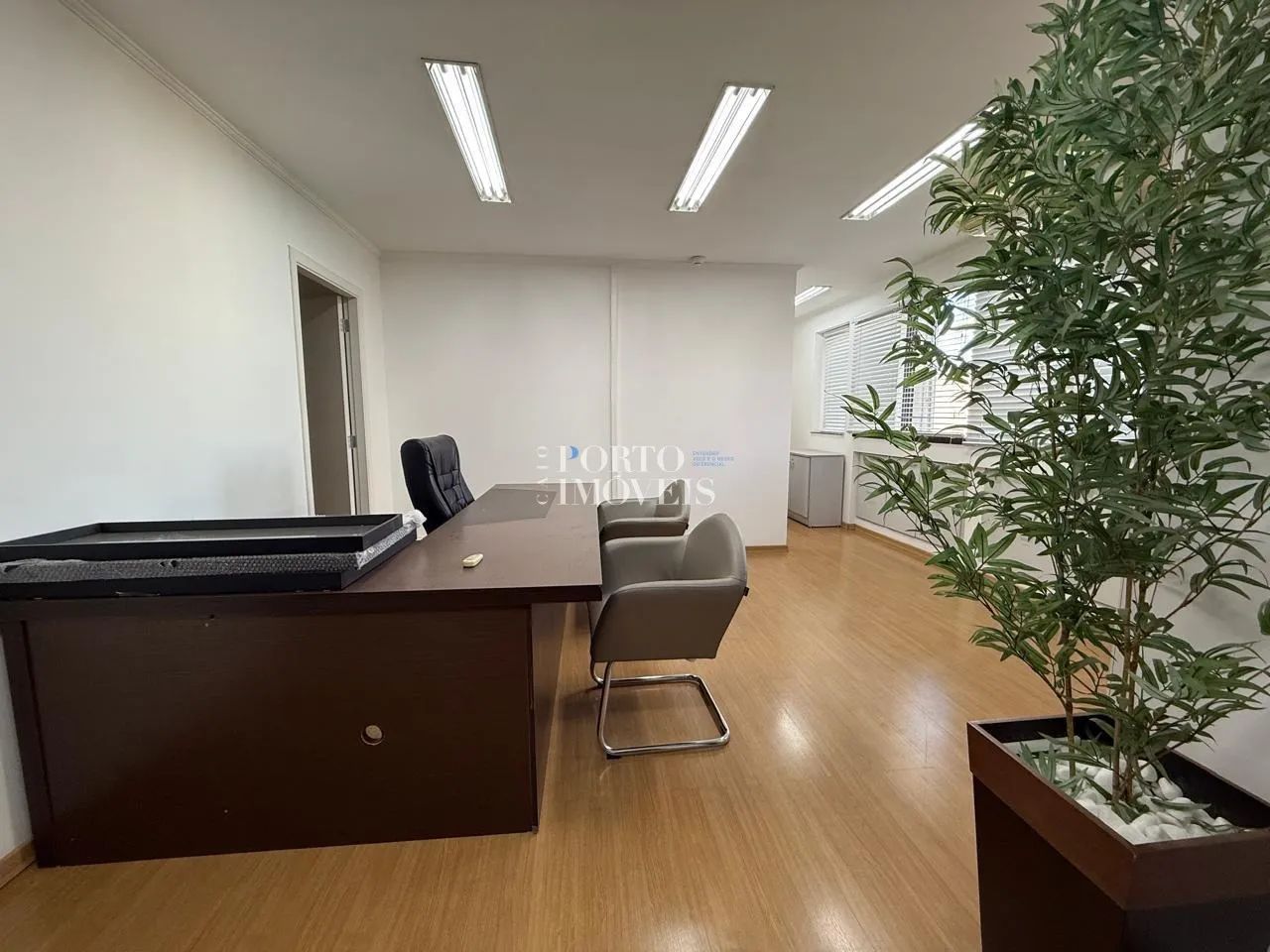 sala - Cambuí - Campinas - Foto 4