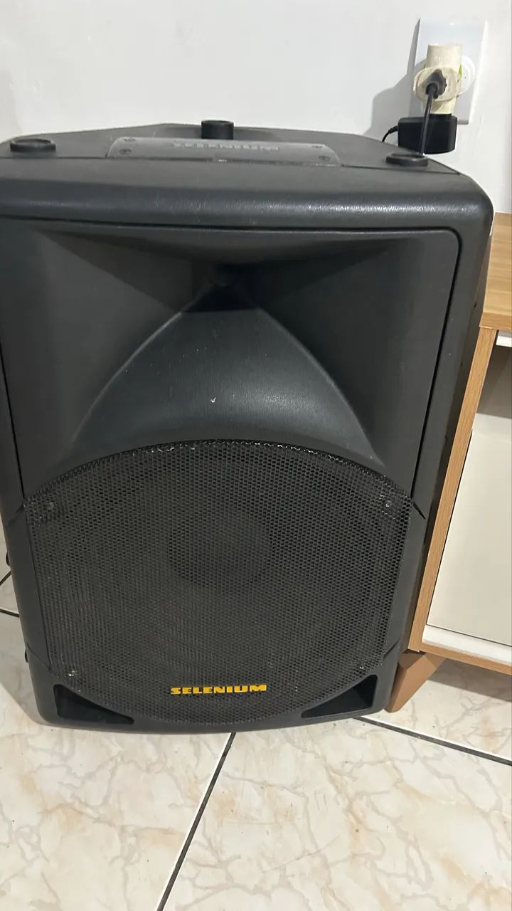 Vendo caixa ativa selenium - Foto 3