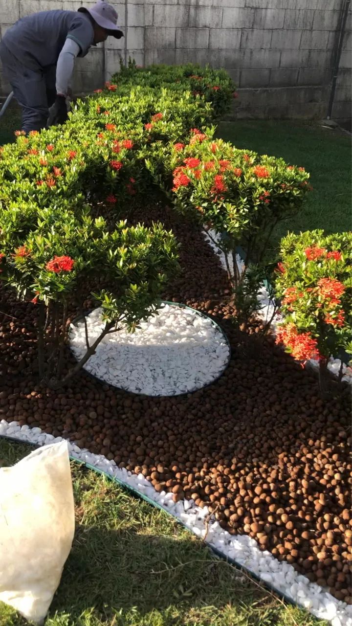Jardineiro e paisagismo 
