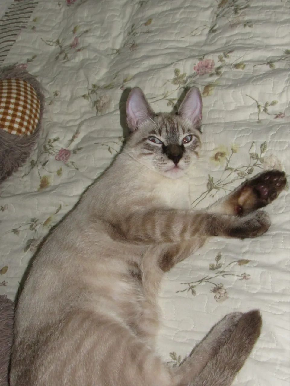 Câmera Canon  - Foto 4