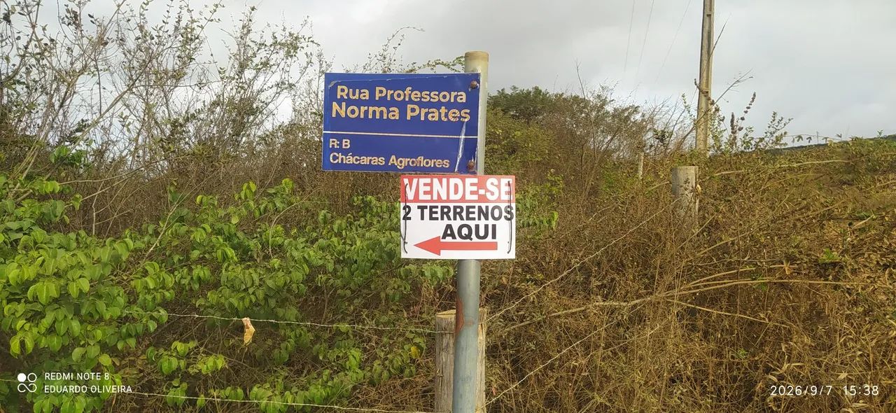 2 terrenos  - Foto 3