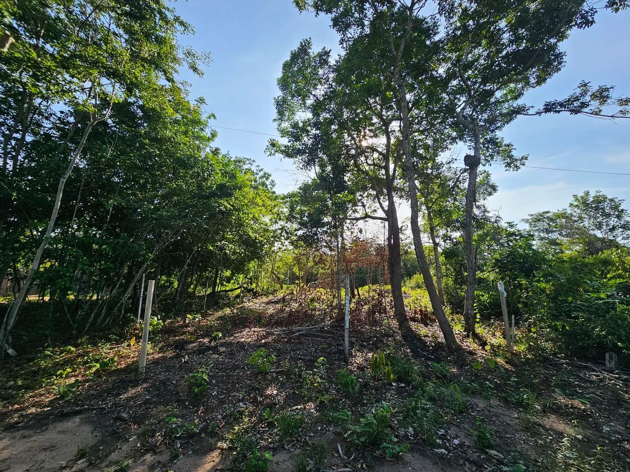 Foto - Santarém - Diamantino