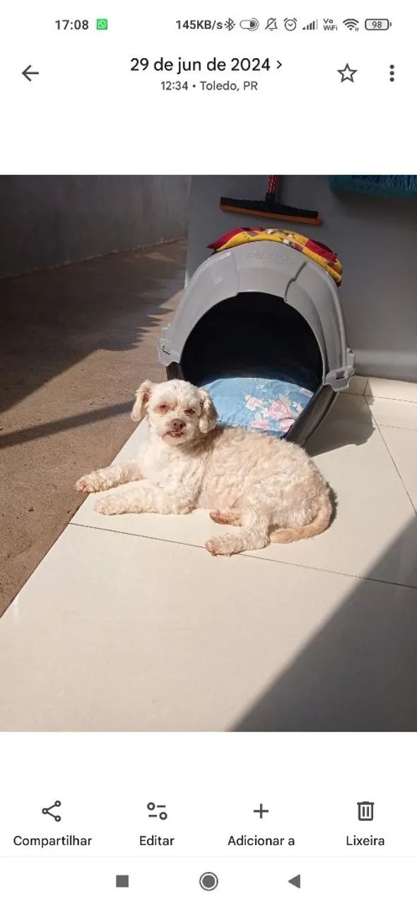 Casa Pet - PARA Cachorro 