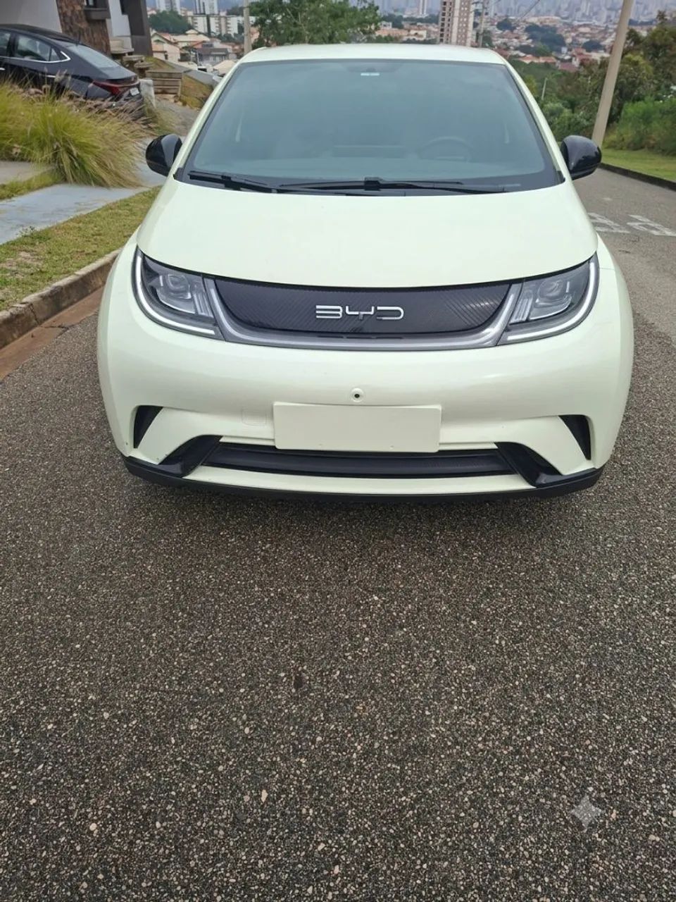 BYD Dolphin EV (Elétrico) 2024