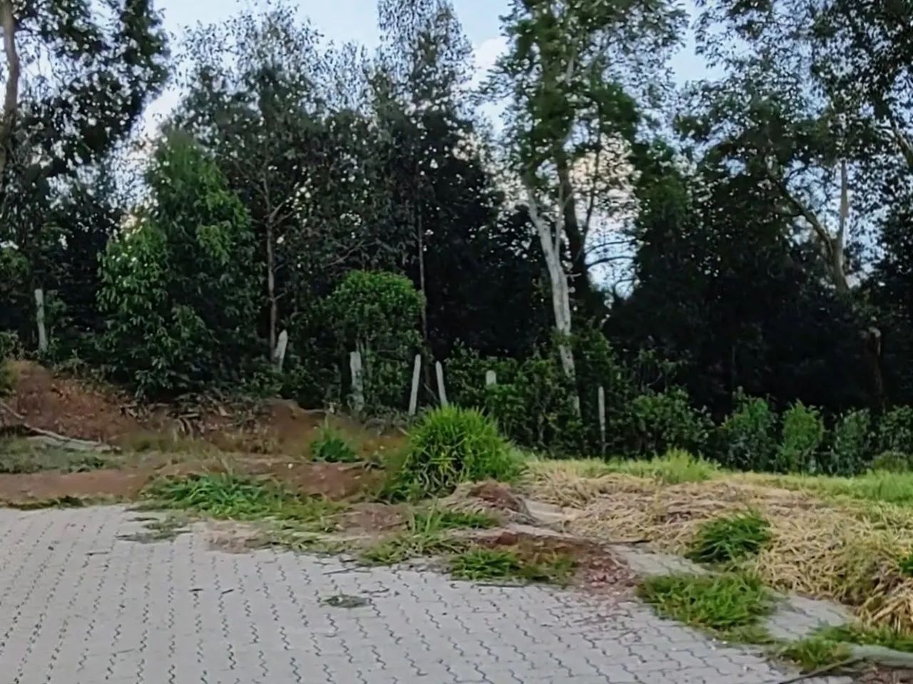 Compre um terreno em Monte Verde - RE - Foto 2