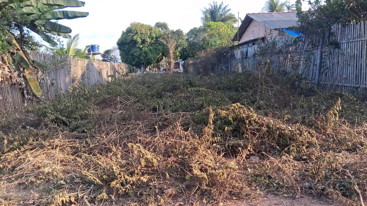 Terreno cipoal  - Foto 2