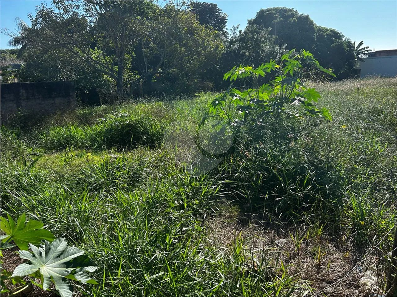 Terreno à venda em Chapadinha - SP - Foto 3