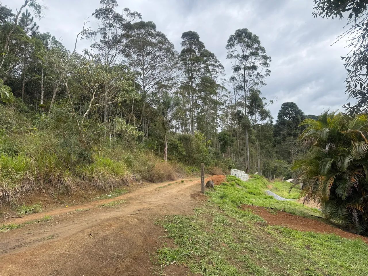 Lote para chácara 2000m2 ( Local fechado com portaria) - Foto 2