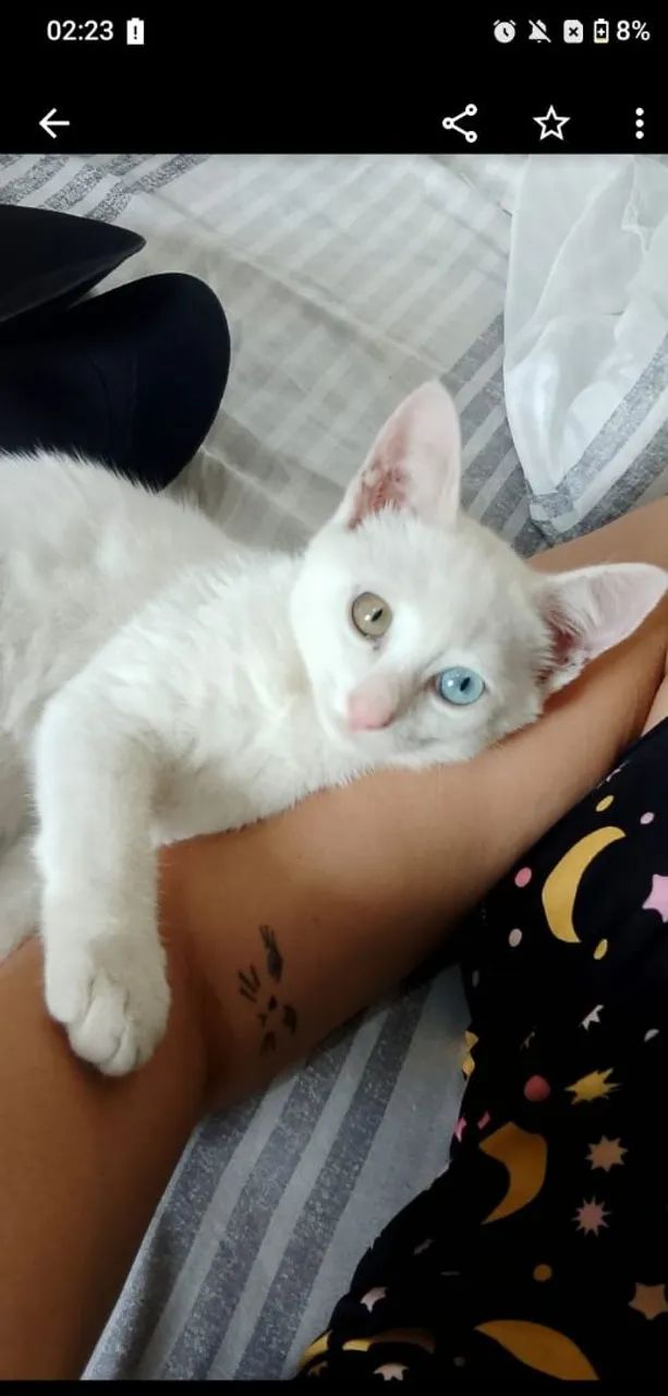Doação 