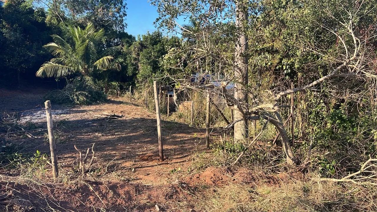 Lote  - Foto 3