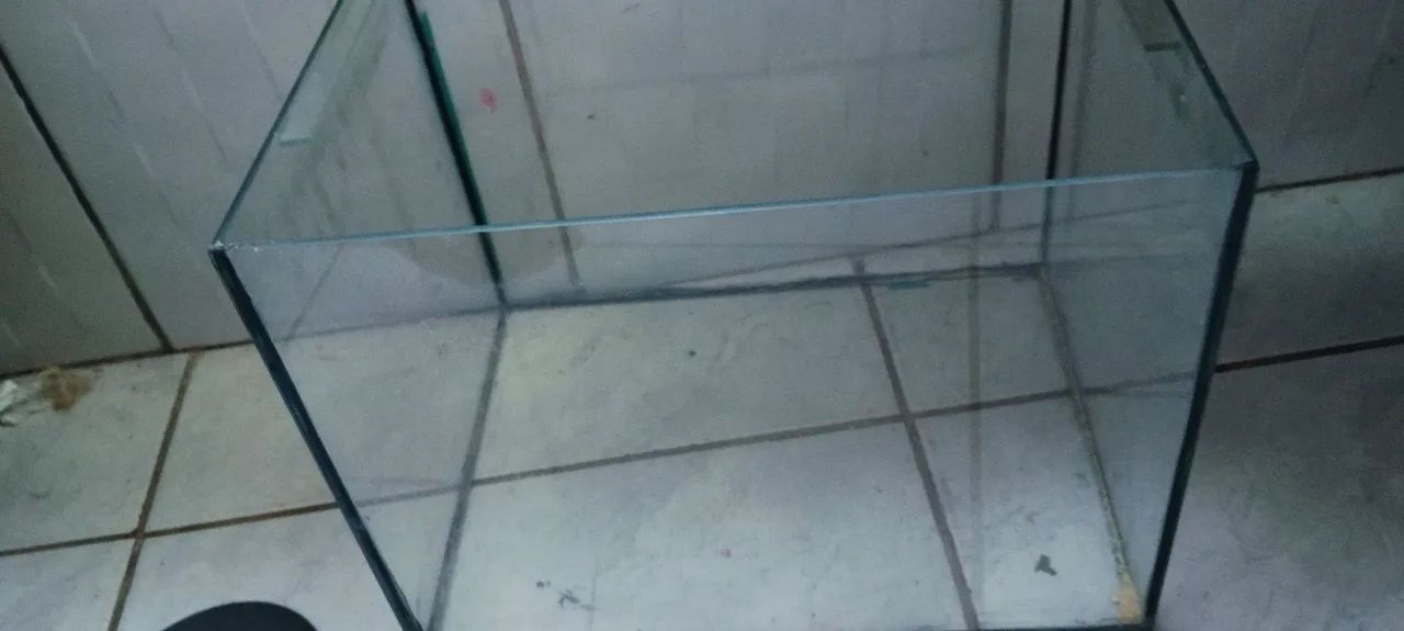 Aquário e acessórios 